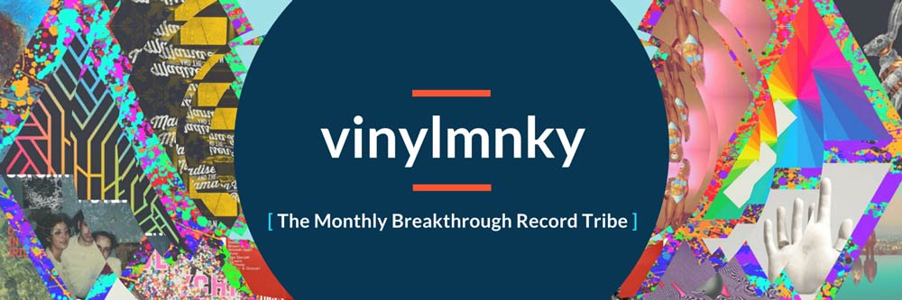 Vinylmnky banner